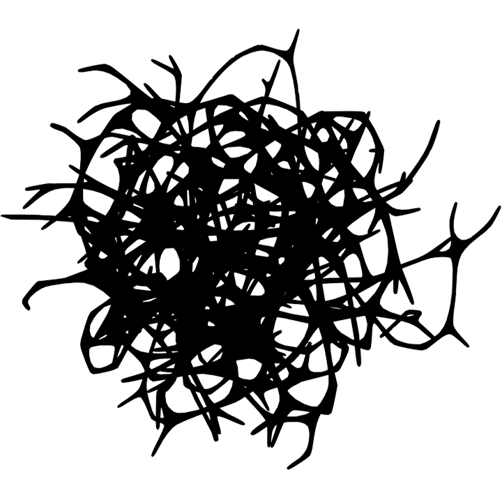 WonderNet - Icono Lap