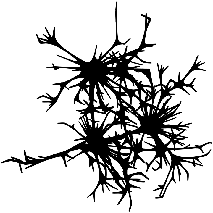 WonderNet - Scale-free Network